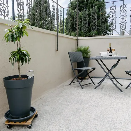 Peacock * スプリト