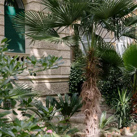Apartment Peacock
