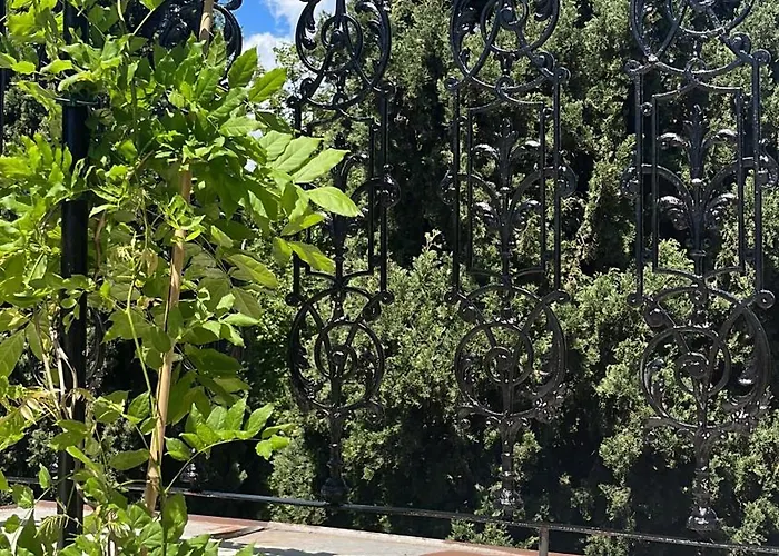 Apartment Peacock Split