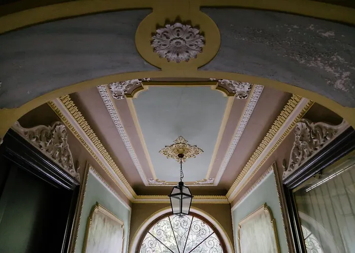 Apartment Peacock Split